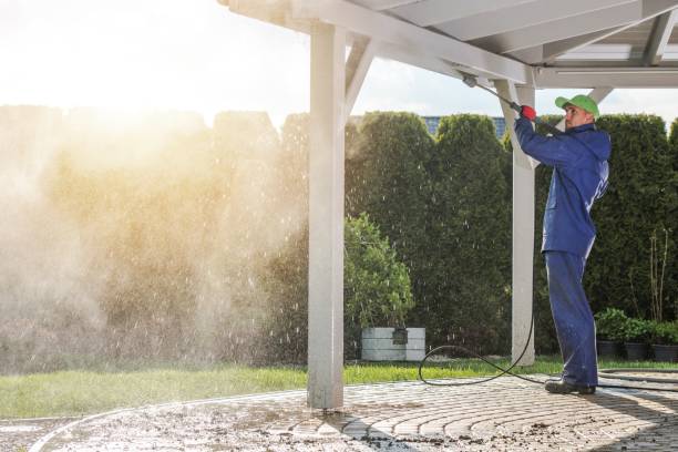 Best Roof Washing  in Pajaro, CA